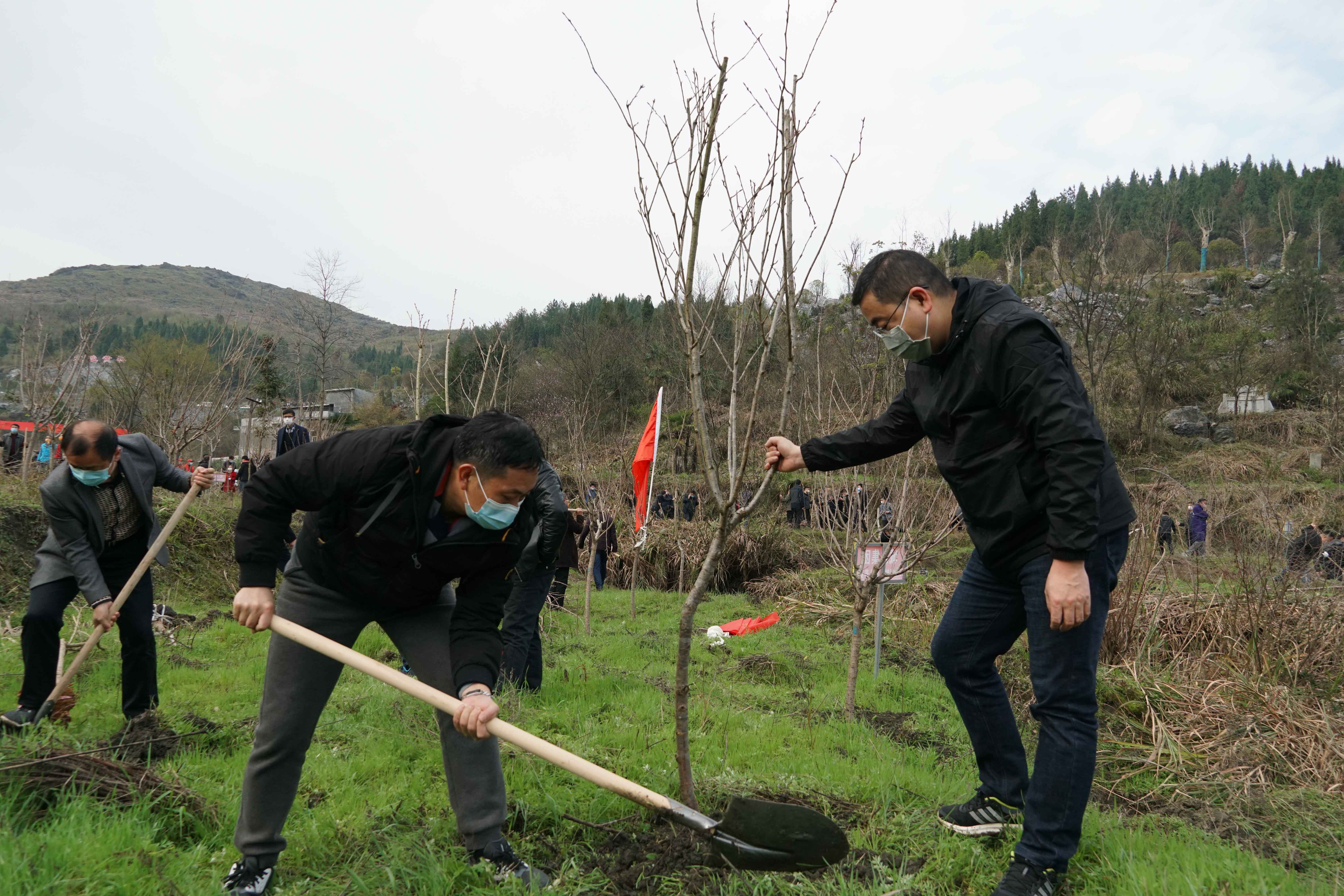 DSC04393 拷貝.jpg DSC04393 拷貝.jpg